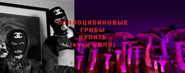 соль курить ск Белокуриха