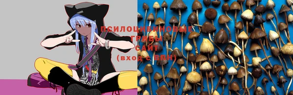 хмурый Беломорск